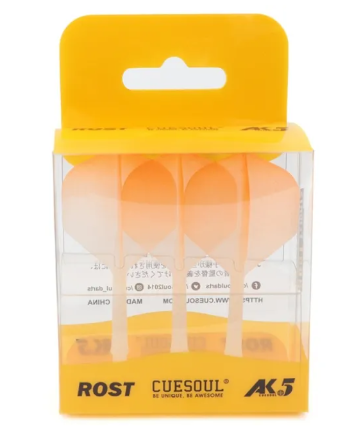 3. CUESOUL AK5 ROST 1-피스, 그레이디언트 컬러, 스텐더드