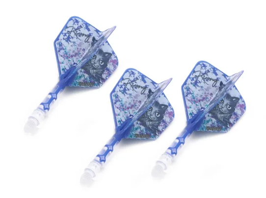 3T. CUESOUL T19 ROST 1피스, 아이스 샤프트/블루 플라이트(KWONG Cat Design), 빅 윙, 사이즈 M-L